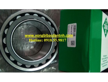 BẠC ĐẠN F-800730.PRL INA